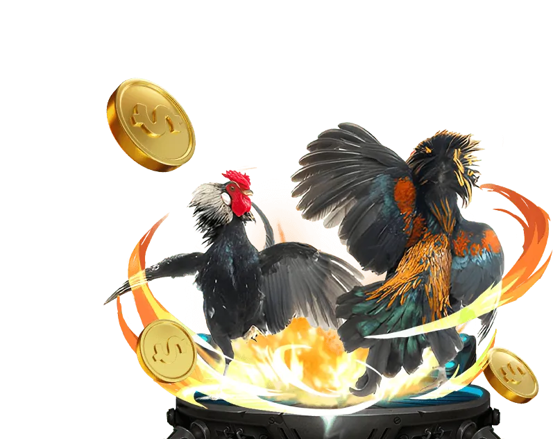 Chiến lược bắn cá hiệu quả từ chuyên gia B66